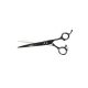 Ciseaux professionnels Phoenix Universal B5900